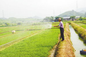 沃爾瑪在塘廈建立東莞首個農超對接基地，新鮮蔬菜直供零售